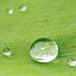 Chl maternité gynécologie